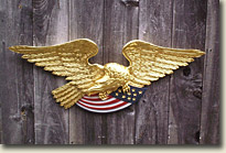 image of finished Jefferson Eagle