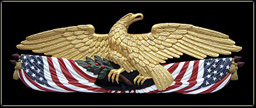 colonial hand carved stern eagle
